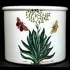 Aloe Drum Shape 7 Inch Plant Pot