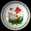 Christmas Rose 1992 Collectors Club Plate - Very Rare!