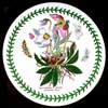 Christmas Rose Round 9 Inch Placemat