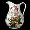 Christmas Rose Pitcher