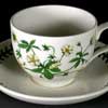 CINQUEFOIL ON A TRADITIONAL TEA CUP