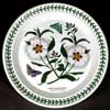 SPANISH GUM CISTUS SALAD PLATE - VERY RARE DOUBLE VERSION