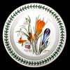 CROCUS AND SNOWDROP BREAD AND BUTTER PLATE - DARK VERSION