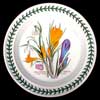 CROCUS AND SNOWDROP BREAD AND BUTTER PLATE - LIGHT VERSION