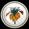 Crown Imperial Dinner Plate With Green Number