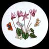 Cyclamen Ceramic Canister Lid With Four Flowers