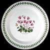 Cyclamen Limited Edition Dinner Plate For Italian Market