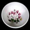 Cyclamen 5 Inch Fruit Bowl With Unusual 6 Flower Buds