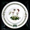 Daisy 25th Anniversary Plate In Green Satin Lined Box