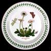 Daisy Bread And Butter Plate With Green Number