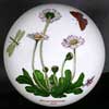Daisy Dome Shape Lid From A Ceramic Lidded Canister