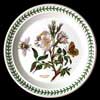 DOG ROSE SALAD PLATE WITH GREEN NUMBER