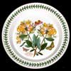 PALE HONEYSUCKLE DINNER PLATE