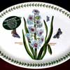 Hyacinth 11 Inch Platter