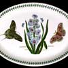Hyacinth 13 Inch Platter