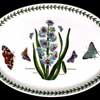 Hyacinth 13 Inch Platter