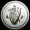 HYACINTH NEWER MOTIF SALAD PLATE WITH BLOCK WRITING