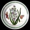 Original Hyacinth Salad Plate With Green Number
