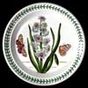 HYACINTH ORIGINAL MOTIF SALAD PLATE WITH GREEN NUMBER