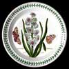 Original Hyacinth Salad Plate With Original Script Writing
