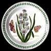 HYACINTH ORIGINAL MOTIF SALAD PLATE WITH SCRIPT WRITING