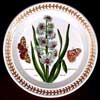 Special Gold Trim Bloomingdales Hyacinth Salad Plate