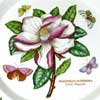 Magnolia Rare Extra Butterfly Plate - Close View