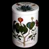 Large Manchineel Tree Ceramic Lidded Canister With Aloe Top - Very Rare!