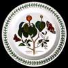 MANCHINEEL TREE DINNER PLATE