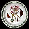 Mexican Lily Dinner Plate Rare 1st Version