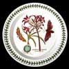 MEXICAN LILY COMMON DINNER PLATE - FROM 1972 TO 1993