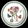 MEXICAN LILY LAST VERSION DINNER PLATE - 1993 AND 1994 ONLY