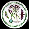 Mexican Lily Round Melamine Placemat