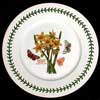 Narcissus Luncheon Plate