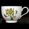 Narcissus Traditional Teacup