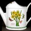 Narcissus Watering Can