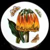 <b>VERY RARE CUT OFF ORANGE CACTUS OATMEAL BOWL FLOWER ON A CERAMIC CANISTER LID</b>