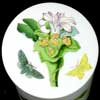 <b>VERY RARE CUT OFF ORCHID OATMEAL BOWL FLOWER ON A CERAMIC CANISTER LID</b>