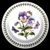 PANSY BREAD AND BUTTER PLATE FLOWER