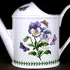 Pansy Watering Can