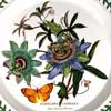 Passion Flower On A text Plate