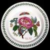 SHRUBBY PEONY DINNER PLATE