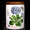 Blue Primrose Small Canister