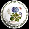BLUE PRIMROSE BREAD AND BUTTER PLATE FLOWER