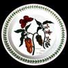 RED PEPPERS SALAD PLATE FLOWER WITH ORIGINAL SCRIPT WRITING
