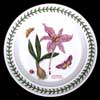 MEADOW SAFFRON BREAD AND BUTTER PLATE FLOWER WITH MOST RECENT BLOCK WRITING