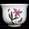 Saffron Rare Bell Plant Pot