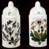 Speedwell And Daisy Salt And Pepper Set