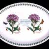 Double Sweet William 11 Inch Platter