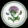 SWEET WILLIAM SALAD PLATE